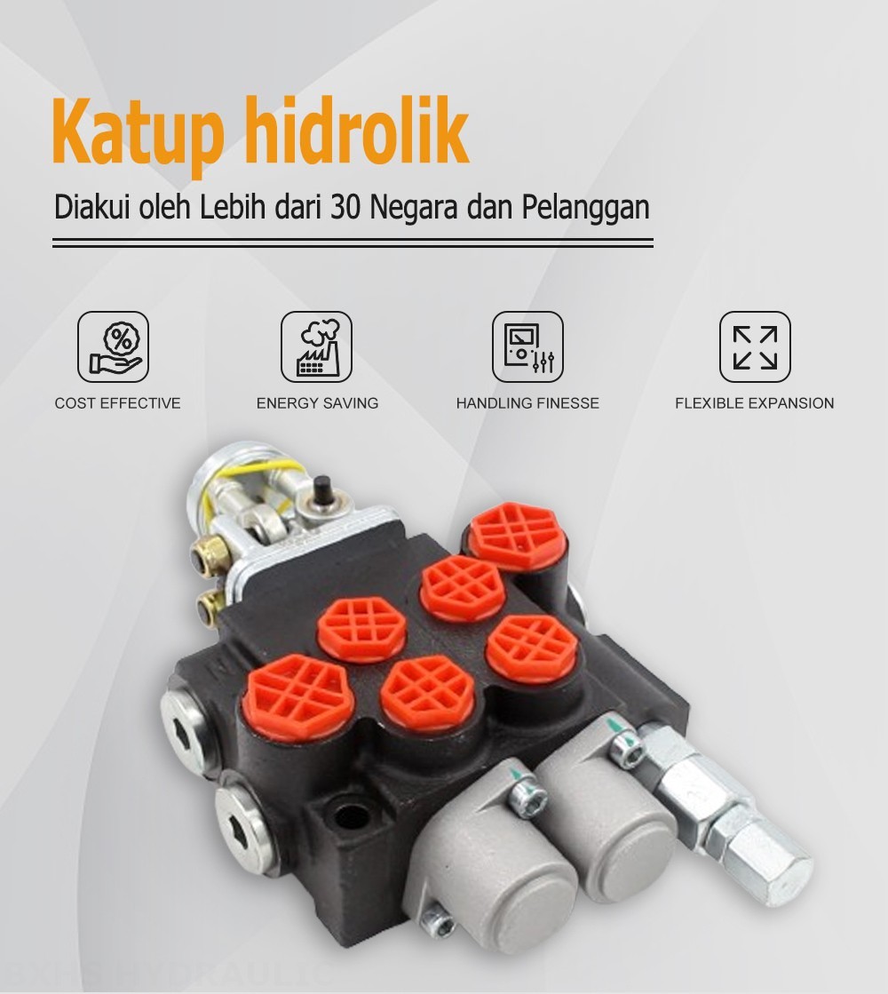 P40-2OT Manual dan Joystick 2 Spul Kran Arah Monoblok